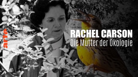 UnVergessen: Rachel Carson, Grande Dame der globalen Umweltbewegung
