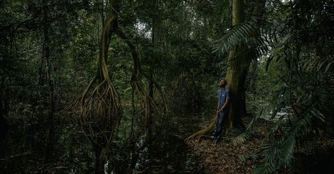 Kongo: Sie schützen den Sumpf für uns. Doch was haben sie davon?