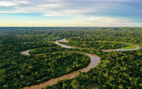 Resilienz des Amazonas-Regenwalds sank messbar