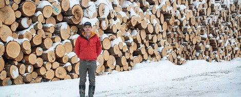 Holzinvestor bezeichnet eigene CO2-Kompensation als sinnlos