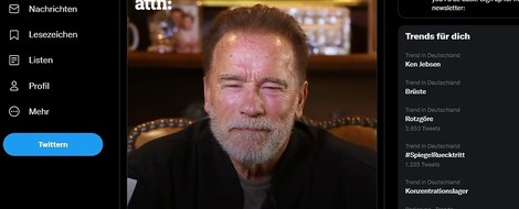 Der Schwarzenegger-Video-Appell an die Russen