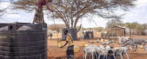 Horn von Afrika: Menschen hungern und Politiker streiten um Worte