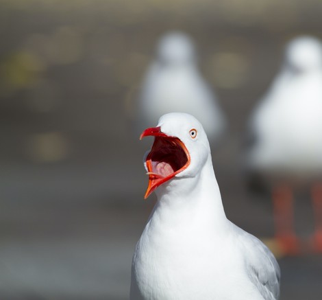 Wie man sich auf Social Media benehmen sollte