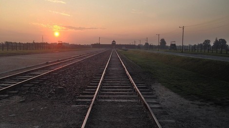 Ein Tag in Auschwitz