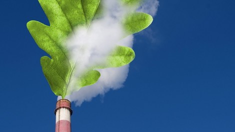 Lässt sich das System der freiwilligen CO2-Zertifikate retten?