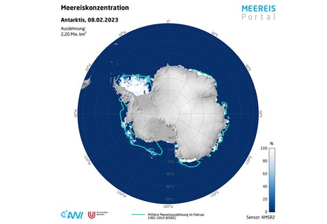 Antarktis: So wenig Meereis wie derzeit schwamm nie
