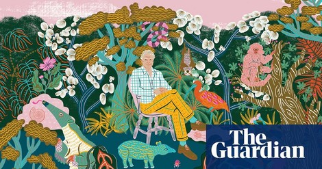 Lebende Fernsehgeschichte: David Attenborough im Portrait