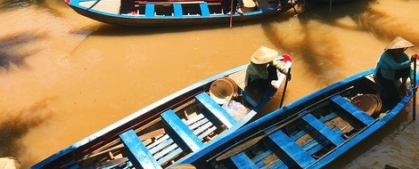 Bewertung natürlicher Ressourcen am Beispiel des Mekong-Flusses