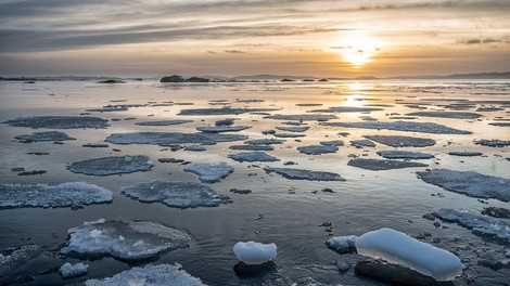 Arktisches Meereis: Das nächste Kippen
