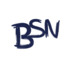 BSN Writing Services