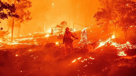 So wie in LA: Waldbrände begünstigen Waldbrände